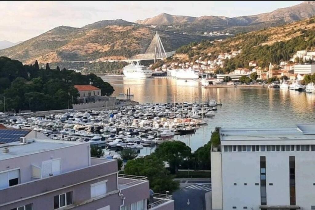 Gorgeous Dubrovnik Sea View Apartment With Free Parking Eksteriør billede