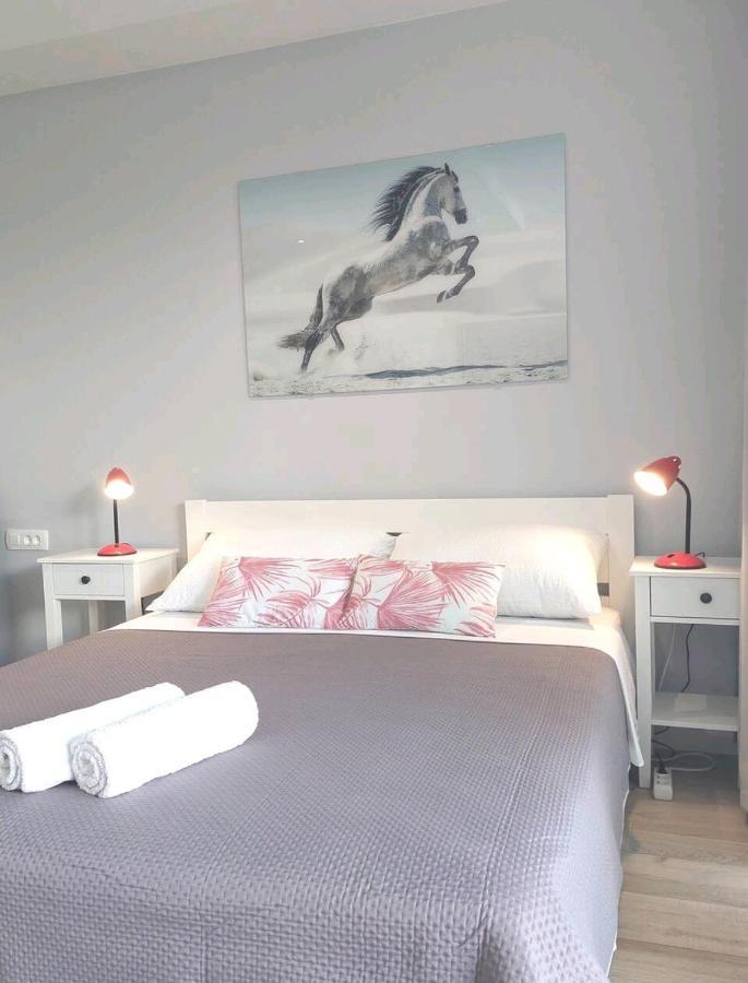 Gorgeous Dubrovnik Sea View Apartment With Free Parking Eksteriør billede